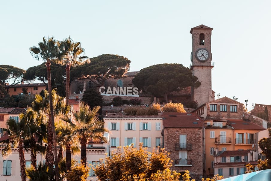 Vue de Cannes avec palmiers