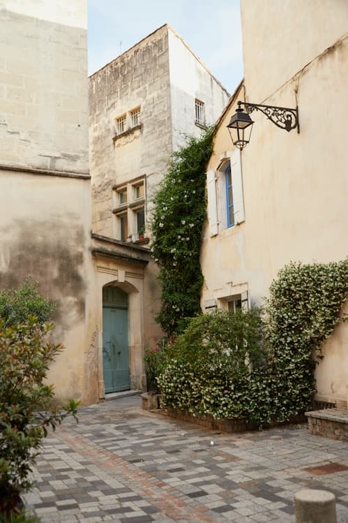 Maison provençale avec végétation